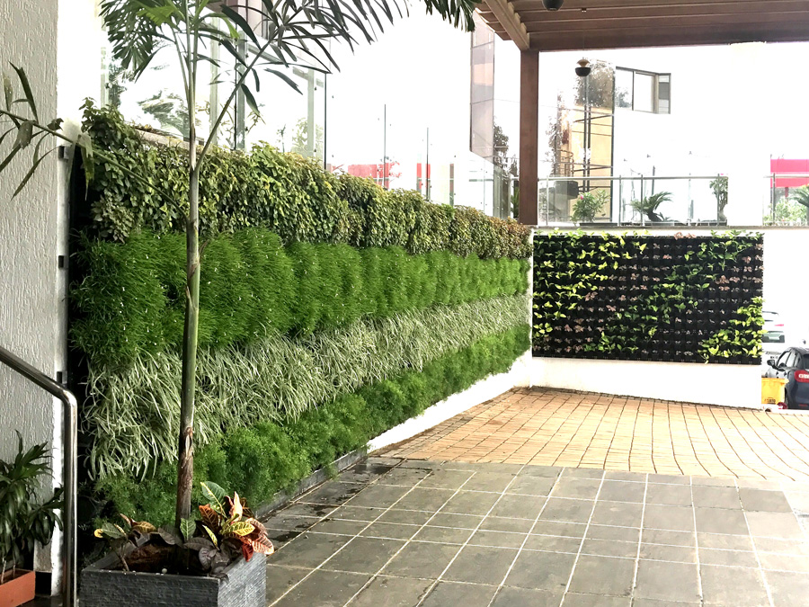Green Wall Services
