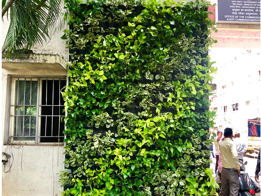 Green Wall Services